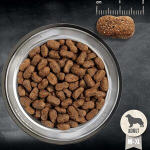 Koeratoidud ja maiused