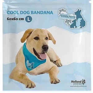 jahutav kaelarätt suurele koerale kaelaümbermõõdule 44 52 cm.