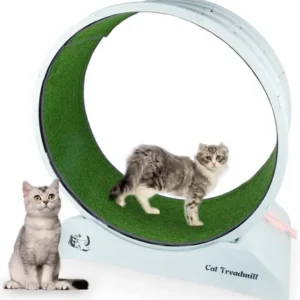 Interaktiivsed mänguasjad