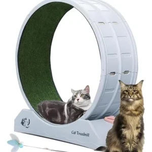 kassi jooksuratas (pawise)