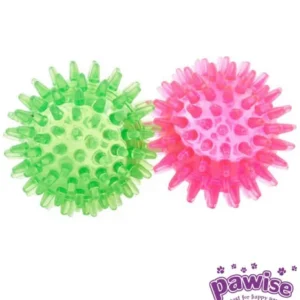 mänguasi kassile, tpr kummist pall (pawise)