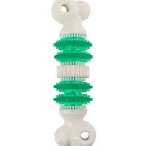 mänguasi koera hammaste puhastamiseks ja hoolduseks dental bone (afp)