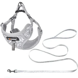 traksid ja jalutusrihm väikesele koerale või kassile, helehall tähtedega grey letters (dogness little rascal)