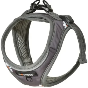 traksid ja jalutusrihm väikesele lemmikloomale, hall (dogness elf)